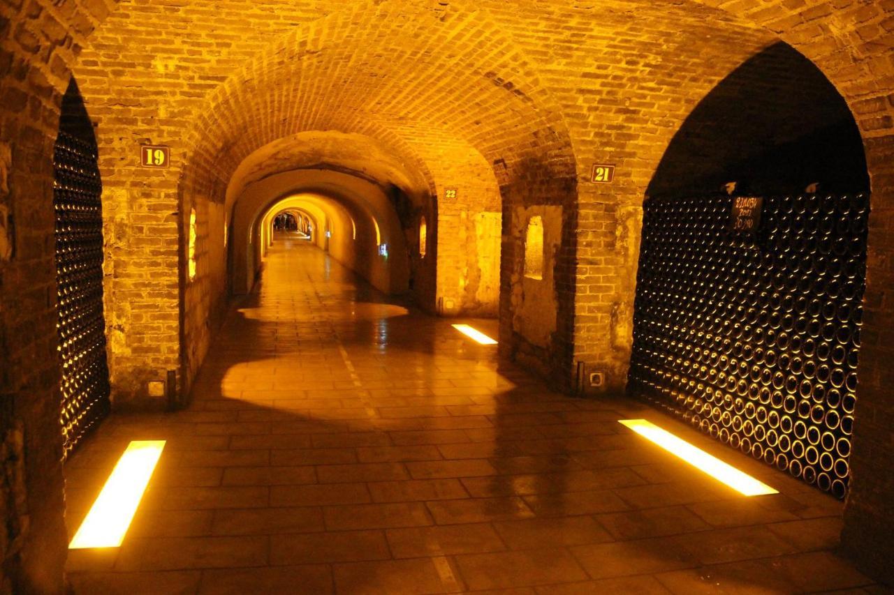 Hotel de Champagne Épernay Buitenkant foto